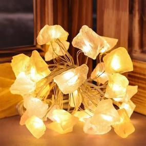 img 1 attached to Holitown Raw Fluorite Indoor String Lights, 10ft 30LEDs Crystal Stone String Lights for Mental Peace, Christmas, Party, Gift (Pink Gradual) - Battery Powered Twinkle Lights with Remote