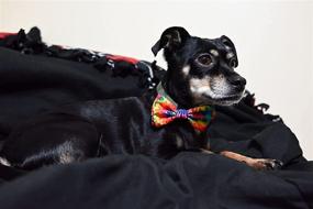 img 2 attached to 🌈 Huxley & Kent Woodstock Tie Dye Bow Tie Collar Attachment - Fun Bow Ties for Dogs & Cats, Cute and Durable