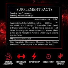 img 3 attached to 💪 Aggressive Labz Aggrobolic Arachidonic Acid and Epicatechin - Muscle Building Supplement for Lean Mass, Myostatin Inhibition, and Nitric Oxide Boost - 90 Capsules - Natural Catalyst