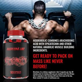 img 2 attached to 💪 Aggressive Labz Aggrobolic Arachidonic Acid and Epicatechin - Muscle Building Supplement for Lean Mass, Myostatin Inhibition, and Nitric Oxide Boost - 90 Capsules - Natural Catalyst