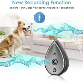 img 3 attached to MODUS Automatic Recognition Ultrasound Barking，Safe