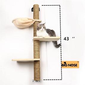 img 2 attached to 🐱 Premium Wall Mounted Cat Scratching Post: Big Nose – Multi Level Shelves, Solid Wood Steps, and Sunny Seat Hammock