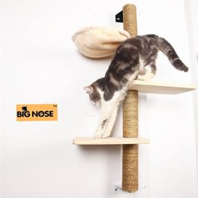 img 3 attached to 🐱 Premium Wall Mounted Cat Scratching Post: Big Nose – Multi Level Shelves, Solid Wood Steps, and Sunny Seat Hammock