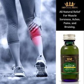 img 3 attached to 🌿 ROYAL ARNICA OIL - Rapid Recovery Formula for Natural Pain Relief, Muscle Recovery, Bruise Care & More - Organic Super Premium Blend with Essential Oils (2oz)