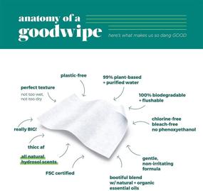 img 1 attached to 🧻 Goodwipes Flushable Wipes, Cedar Scent, Individually Wrapped, Ideal for Travelers, Flushable & Hypoallergenic - Pack of 32