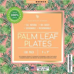img 4 attached to Palm Fridays Ecoware Square Disposable Plates (50, 6 Inch) - Compostable & 100% Natural - Chemical Free - USDA Certified