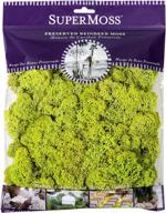🌿 vibrant chartreuse reindeer moss: super moss 21707 preserved, 4-ounce logo