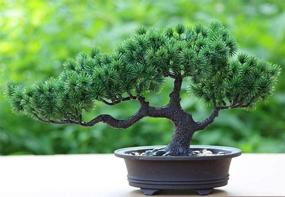 img 2 attached to 🌲 Bonsai Pine Tree - Artificial Home Welcoming Pot Plant, Japanese Pine Display Simulation for Living Room, Zen Garden Decoration Decor (Vivid)