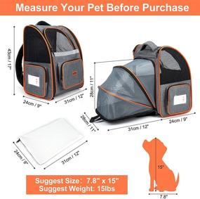 img 3 attached to 🐾 AIPERRO Expandable Pet Backpack: Ventilated Carrier for Cat Puppy Small Dog, 4-Sided Entry, Safety Leash & Cushion Back, 3 Pockets & Reflective Tape - Ideal for Travel, Hiking & Outdoor Activities