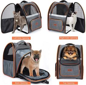 img 2 attached to 🐾 AIPERRO Expandable Pet Backpack: Ventilated Carrier for Cat Puppy Small Dog, 4-Sided Entry, Safety Leash & Cushion Back, 3 Pockets & Reflective Tape - Ideal for Travel, Hiking & Outdoor Activities