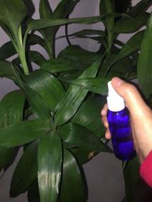 img 1 attached to 🌿 BPA-Free Plastic Bottle Plants - Aromatherapy Spray in Ounces