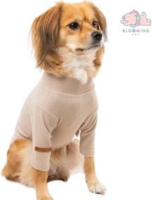 img 2 attached to 🐶 Soft Warm Light Pullover Sweater Turtleneck Spring Tshirt for Small Puppy Dogs - Colorful Stylish Fashion Design, M Size, Mood Beige