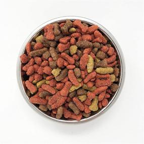 img 1 attached to 🐶 Quality and Affordability Unite: Introducing Amazon Brand - Solimo Basic Dry Dog Food with Grains in Chicken or Beef Flavor