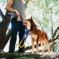 🐾 zippypaws graphite adventure dog treat bag - portable belt логотип