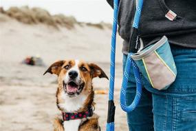 img 1 attached to 🐾 ZippyPaws Graphite Adventure Dog Treat Bag - Portable Belt