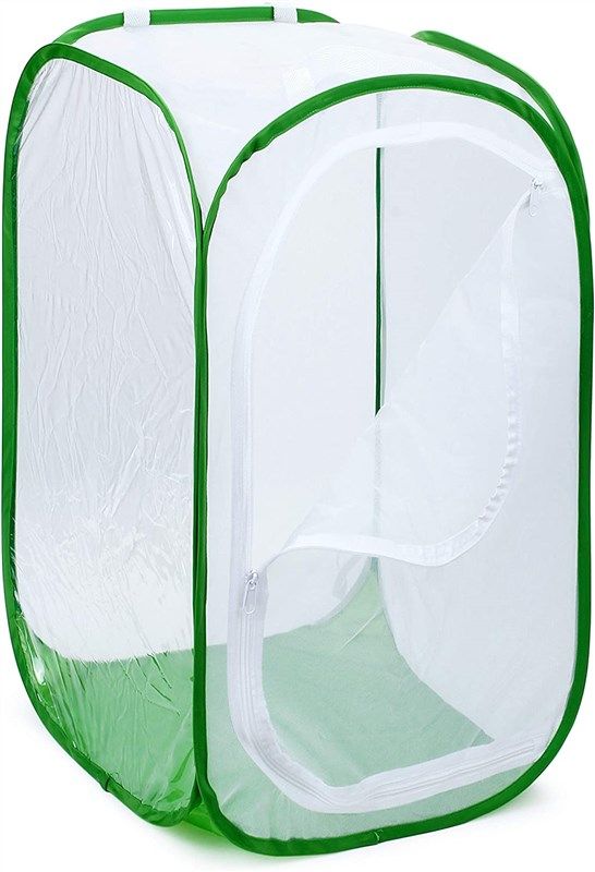 restcloud monarch butterfly collapsible terrarium learning & education 로고