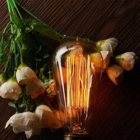 img 2 attached to 💡 CTKcom Squirrel Filament Incandescent Bulb: 110V 130V - Premium Quality Lighting Solution