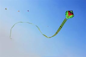 img 2 attached to 🪁 Hengda Kite Flying: Elevate Your Outdoor Sports Experience
