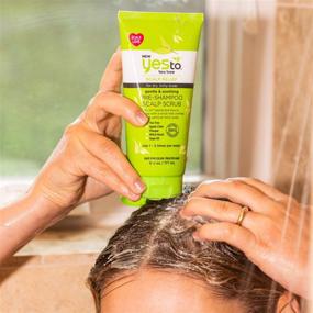 img 1 attached to 🌿 Yes To Tea Tree Scalp Relief Gentle & Soothing Pre-Shampoo Scalp Scrub for Dry Scalp, 6 Fluid Ounces