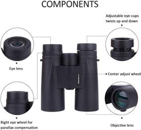 img 3 attached to 👀 SkyGenius 10x42 Binoculars - Quick Focus, Full-Multi Coated Lens, Lightweight & Ideal for Bird Watching, Hunting & Outdoor Activities