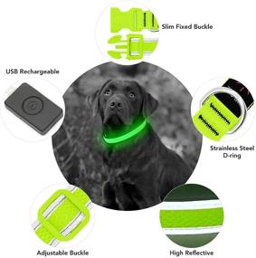 img 3 attached to BSEEN Light Up Dog Collars: Stay Visible with Reflective Safety Puppy Collar for Dogs – USB Rechargeable LED Collar for Camping & Outdoor Adventures