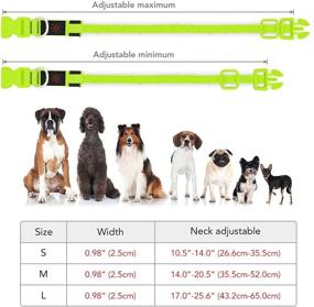 img 1 attached to BSEEN Light Up Dog Collars: Stay Visible with Reflective Safety Puppy Collar for Dogs – USB Rechargeable LED Collar for Camping & Outdoor Adventures