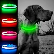 bseen light up dog collars: stay visible with reflective safety puppy collar for dogs – usb rechargeable led collar for camping & outdoor adventures логотип