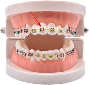 img 3 attached to 🦷 Orthodontic Ligature Ties RZJZGZ - Multi-Color Elastomeric O-Rings for Braces Rubber Bands (1040pcs) - Multicolor