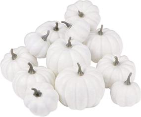 img 4 attached to KY YPFW Artificial Assorted White Pumpkins