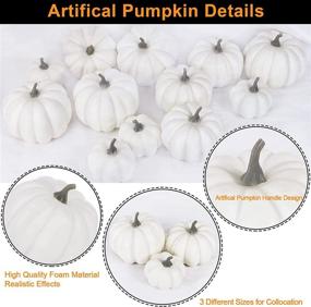 img 3 attached to KY YPFW Artificial Assorted White Pumpkins