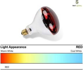 img 2 attached to 🚽 Sterl Lighting Incandescent Bathroom Poultry: Effortless Brightness for Your Bathroom