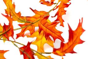 img 2 attached to 🍂 Set of 2, 6-Foot CraftMore Oak Leaf Fall Garlands