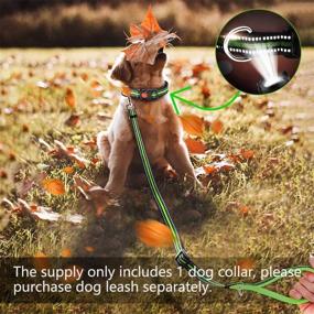 img 3 attached to 🐶 Reflective Dog Collar with Quick Release Buckle - Adjustable Safety Collar for Small Medium Large Dogs