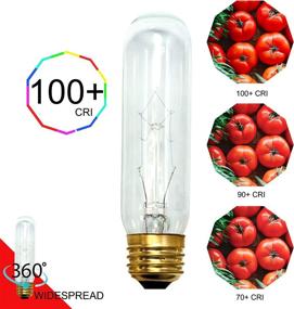 img 4 attached to 💡 Dysmio Lighting 4 Volt Tubular Incandescent