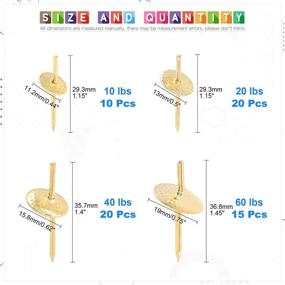 img 3 attached to 🖼️ Glarks 65Pcs Assorted One-Step Hangers Set, Quick Photo Picture Frame Hangers Alloy Nail Hooks Plaster Picture Hanging Kit for Clock, Mirror on Wooden Drywall - Available in 10lbs, 20lbs, 40lbs, and 60lbs