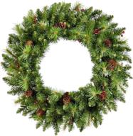 🎄 noma 24-inch pre-lit led berry & pinecone christmas wreath - battery operated lights, 20 warm white bulbs, 160 pine tips логотип