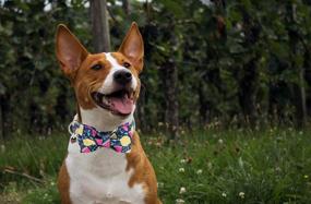 img 1 attached to 🐶 DogWong Flower Cotton Dog Collar with Bowtie - Comfortable, Adjustable, and Stylish Pet Collar for Small, Medium, and Large Dogs - Bowtie Dog Collar XXS-XL