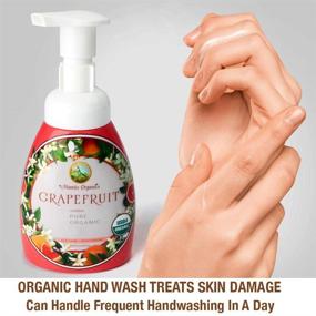 img 2 attached to 🍃 MANTIS ORGANICS: Premium 2-Pack Organic Foam Hand Soap - US Made with Multi Purpose Foam Pump Dispenser - Foaming Grapefruit Aloe Vera Hand Soap (2-Pack, Each 8.6 Fl Oz)