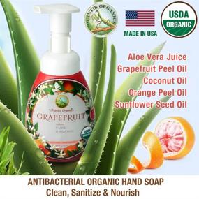 img 3 attached to 🍃 MANTIS ORGANICS: Premium 2-Pack Organic Foam Hand Soap - US Made with Multi Purpose Foam Pump Dispenser - Foaming Grapefruit Aloe Vera Hand Soap (2-Pack, Each 8.6 Fl Oz)