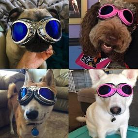 img 2 attached to 🐶 TOTTPED Foldable Dog Sunglasses with Strap - Waterproof Goggles for Dogs - Wide Range of Adjustable Dog Eyewear