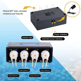 img 1 attached to 🐠 Hygger Aquarium Dosing Pump - Advanced Programmable Auto Titration Pump for Marine Coral Tanks with 4 Channel Dosing Heads and 8 Titration Long Hoses