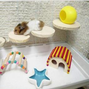 img 1 attached to 🐹 Hamiledyi 4 Pcs Natural Wood Hamster Stand Platform: Interactive Rat Activity Playground for Chinchilla Cage - Ideal Accessories for Bird, Parrot, Mouse, Gerbil and Dwarf Pets with Stainless Steel Washers