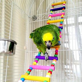 img 4 attached to 🦜 Parrot Bird Cage Accessories Set: Ladders, Swings, Chewing Toys, Hammock, Hanging Pet Bird Toy for Small Parakeets, Cockatiels, Lovebirds, Conures, Macaws, Finches