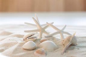 img 2 attached to 🌟 10 White Finger Starfish 6"-8" for Nautical Home Decor - South Beach Crafts