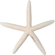 🌟 10 белых пятилучевых морских звезд 6 "-8" для украшения дома в стиле морской тематики - south beach crafts логотип