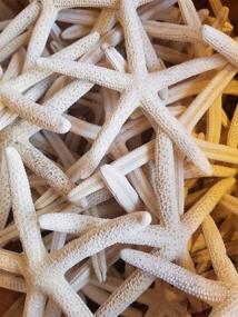 img 1 attached to 🌟 10 White Finger Starfish 6"-8" for Nautical Home Decor - South Beach Crafts