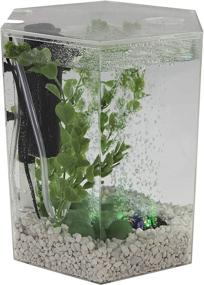 img 2 attached to 🐠 The Ultimate 1-Gallon Hexagon Tetra Bubbling LED Aquarium Kit with Color-Changing Light Disc