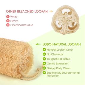 img 1 attached to LOBO Natural Large Organic Luffa Shower Loofah Sponges - Exfoliating 🧽 Sponge for Daily Bath, Loofa Scrubbers SPA Beauty - Pack of 4