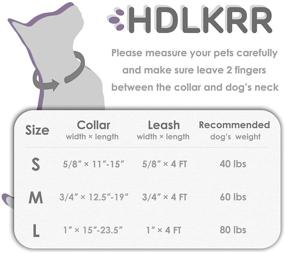 img 1 attached to 🐶 Adjustable Girl Dog Collars and Leash Set for Small to Medium Dogs and Cats - Matching Puppy Collar and Leash