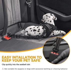 img 1 attached to 🐶 JoyTutus Upgraded Car Dog Safety Seat Belt: Retractable 0.79" Universal Pet Auto Harness Adjustable - Elastic Nylon Strap Seatbelt for Dogs & Cats